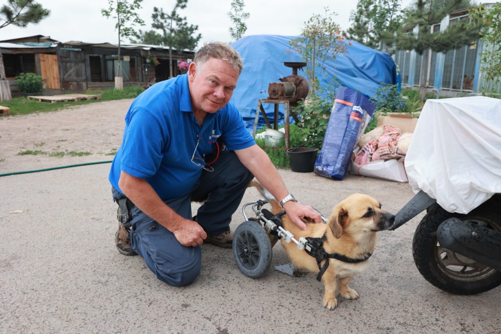 Man next to a disabled dog