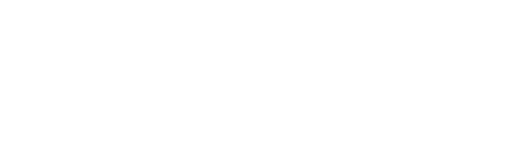 Ludia Consulting Logo